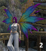 Fee 2