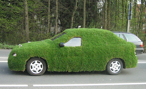 Grasauto